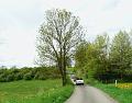 1st Belgian Octagon Tour (118)
